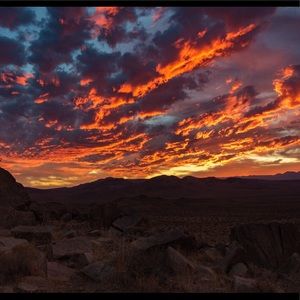 Meet your Posher, Sydney